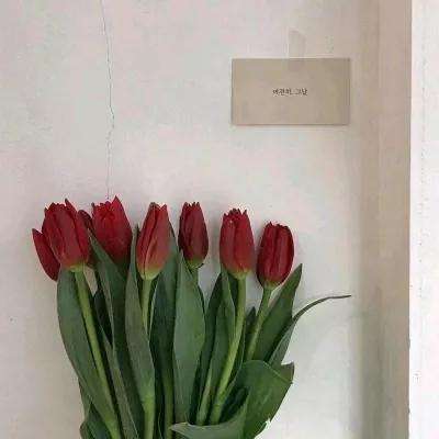 塔尔战纪游戏下载